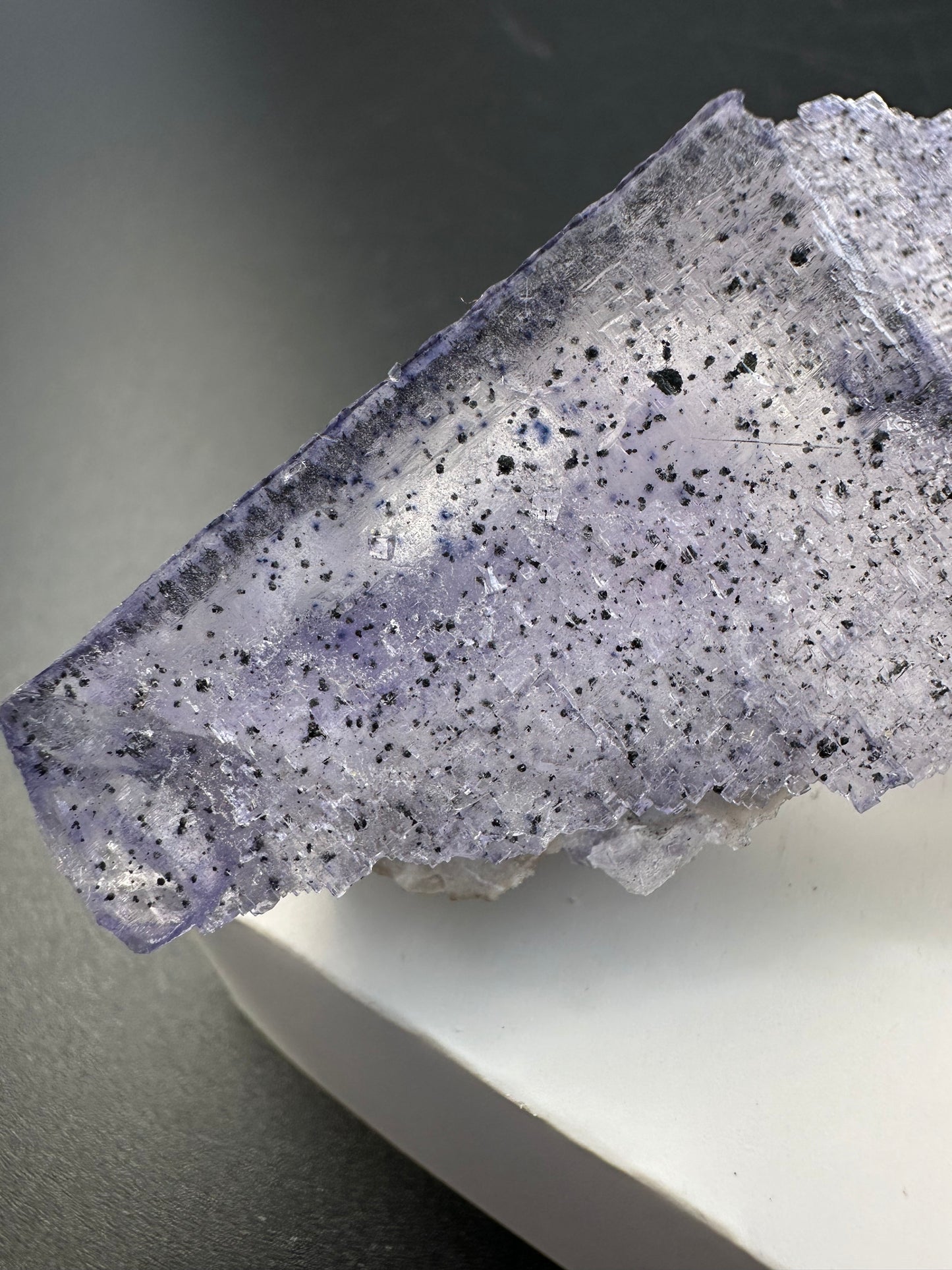 Elmwood Fluorite with spots, semi floater