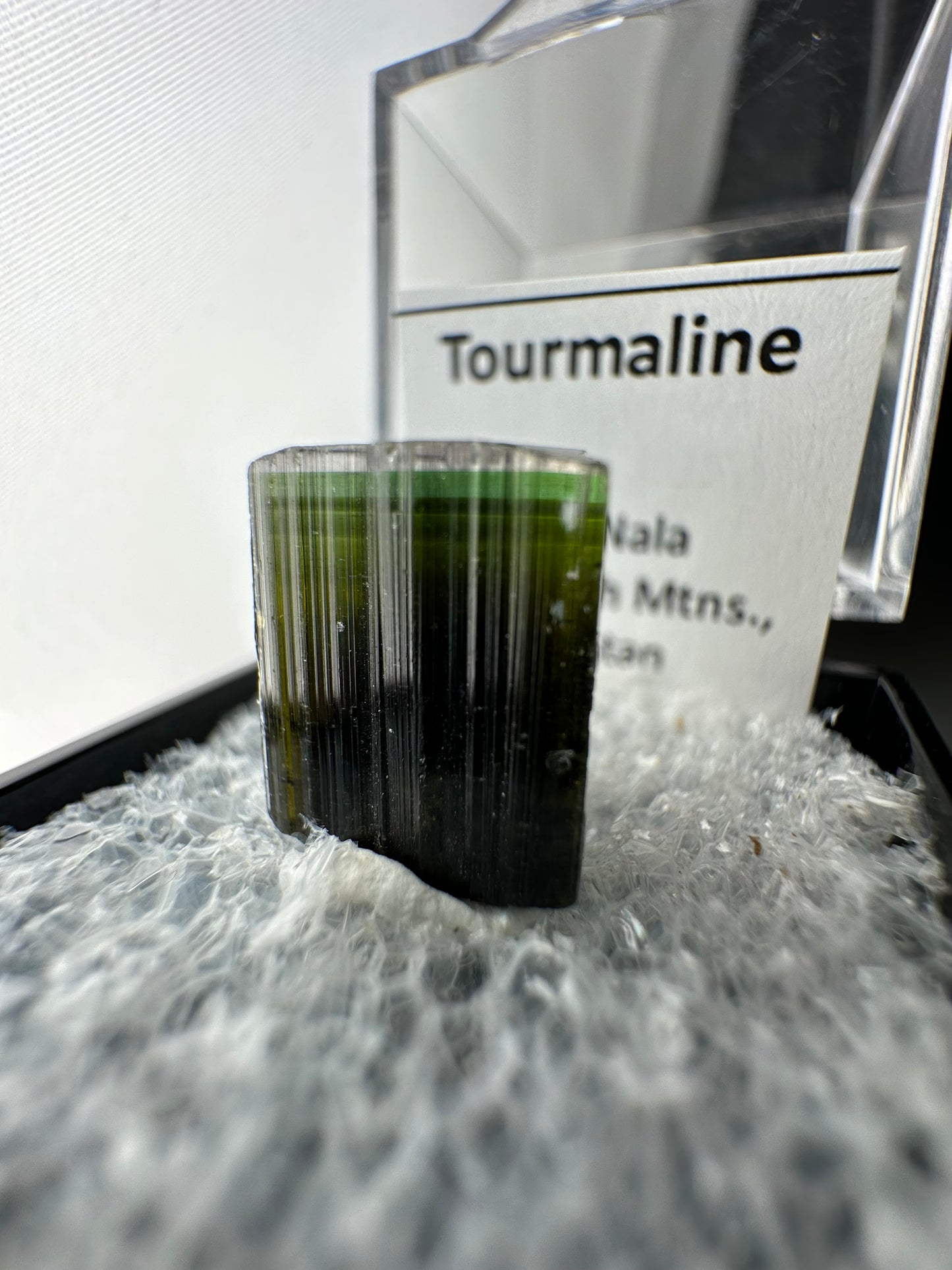 Clear cap, tri-colour Tourmaline: Stak Nala, Pakistan
