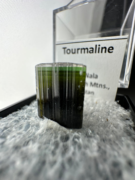 Clear cap, tri-colour Tourmaline: Stak Nala, Pakistan