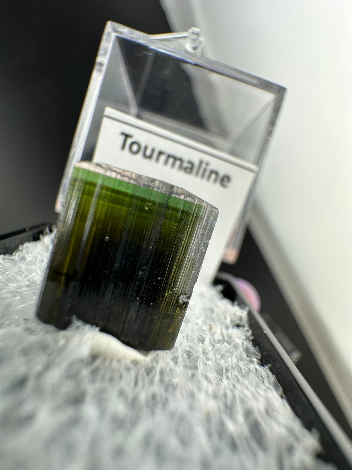 Clear cap, tri-colour Tourmaline: Stak Nala, Pakistan