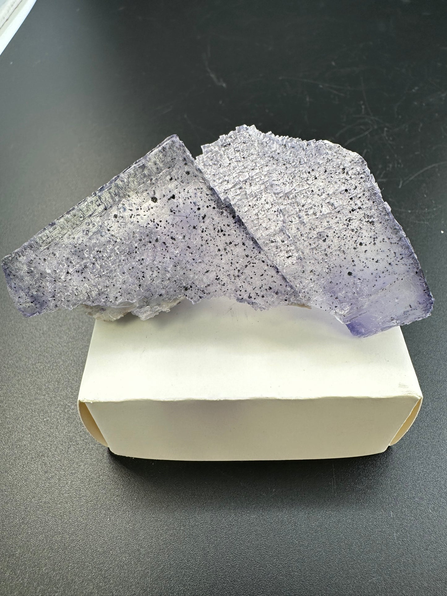 Elmwood Fluorite with spots, semi floater