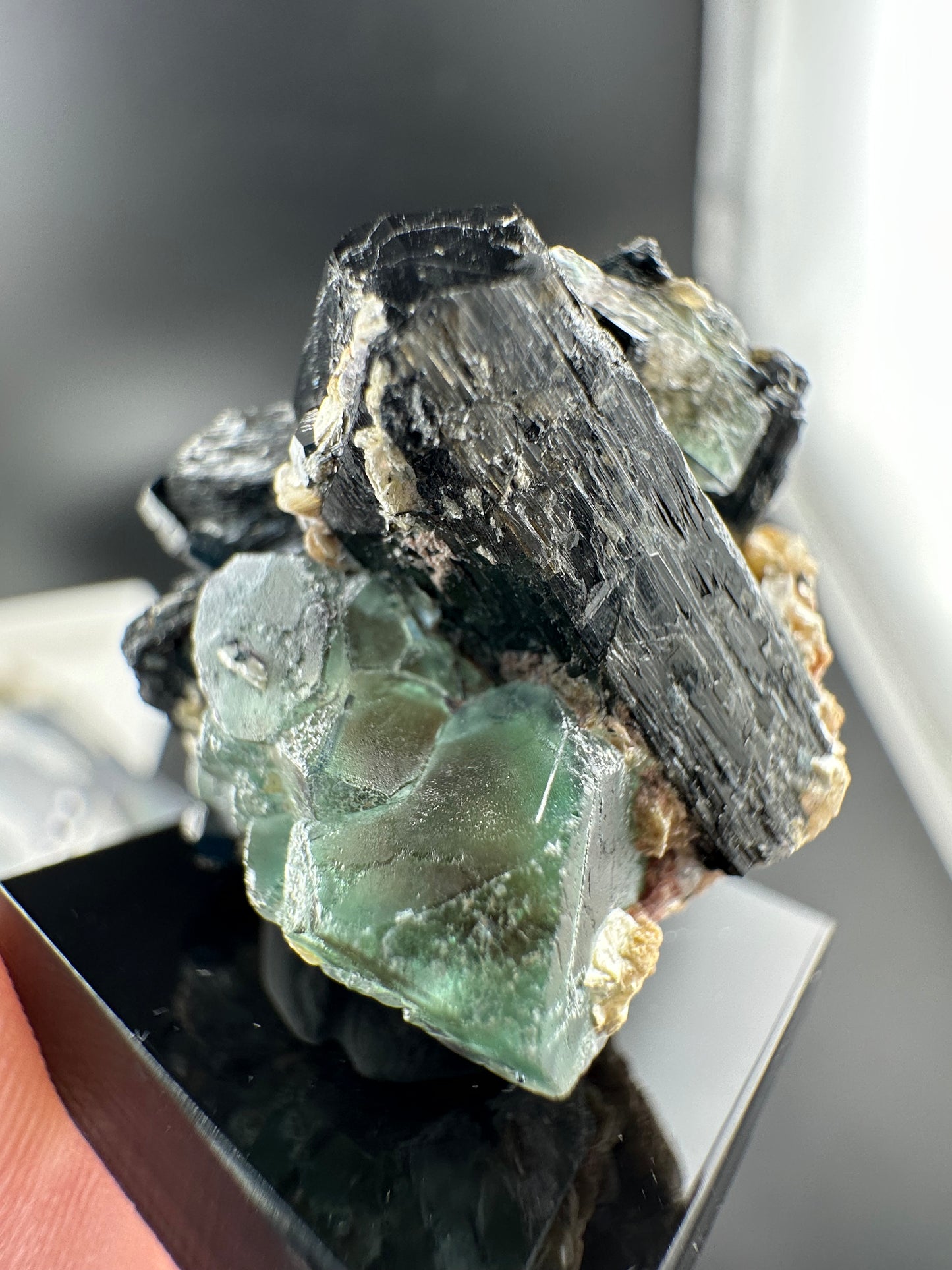 Lollipop Pocket, Erongo Mtns Namibia: Fluorite & Schorl