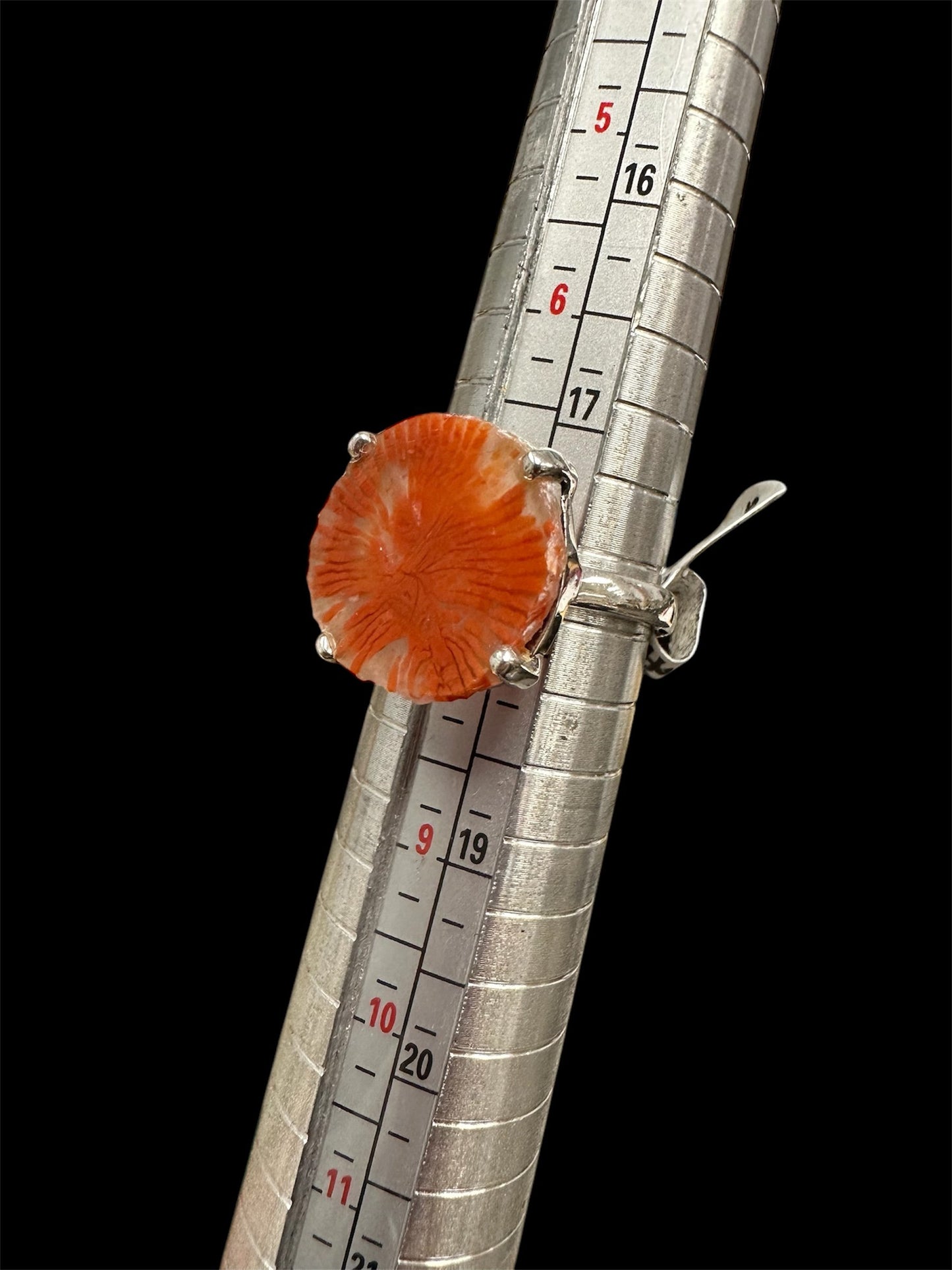 Red Horn Coral set in silver (fossilized coral/chalcedony from Utah) sz. 7.75