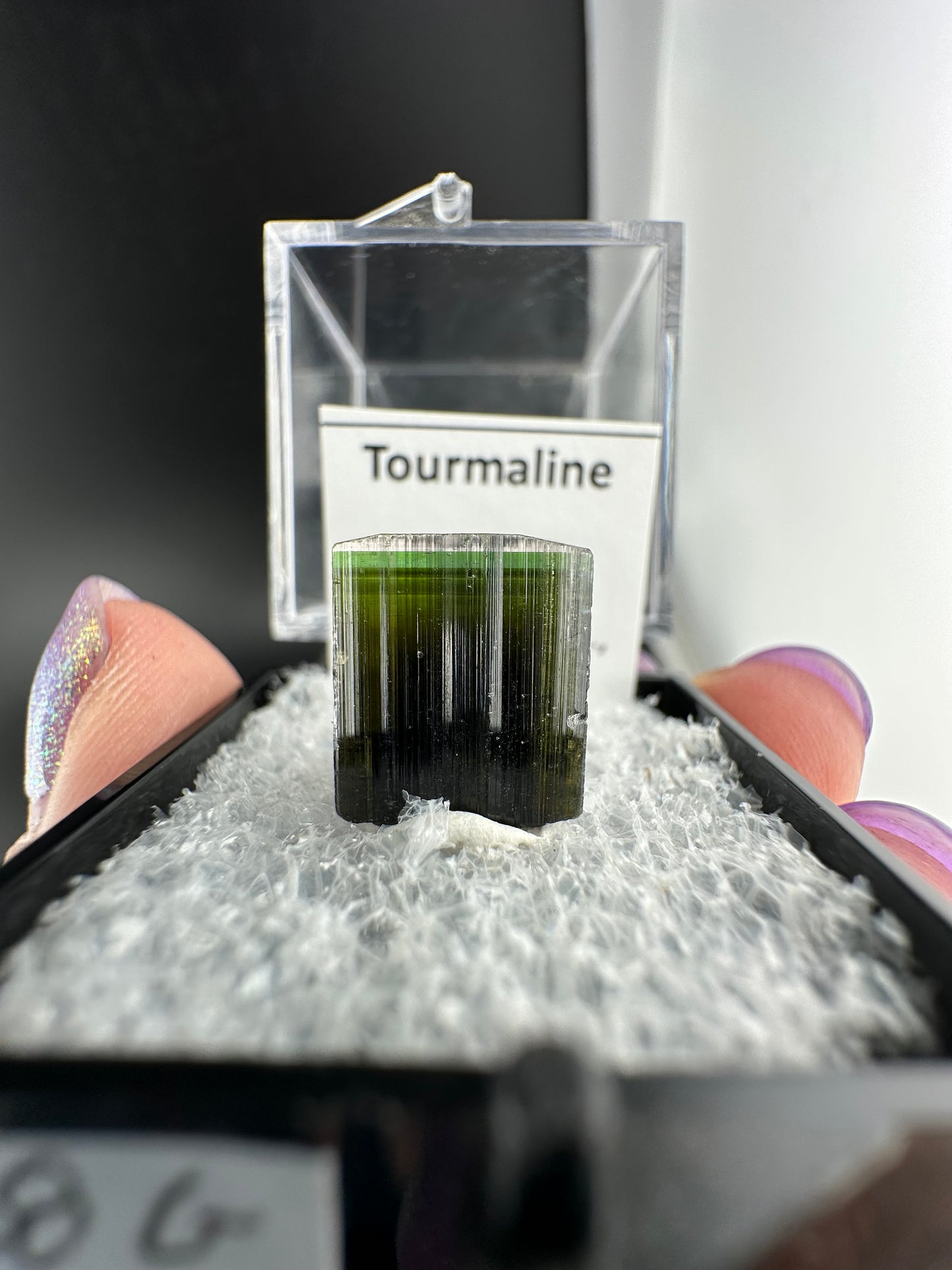 Clear cap, tri-colour Tourmaline: Stak Nala, Pakistan