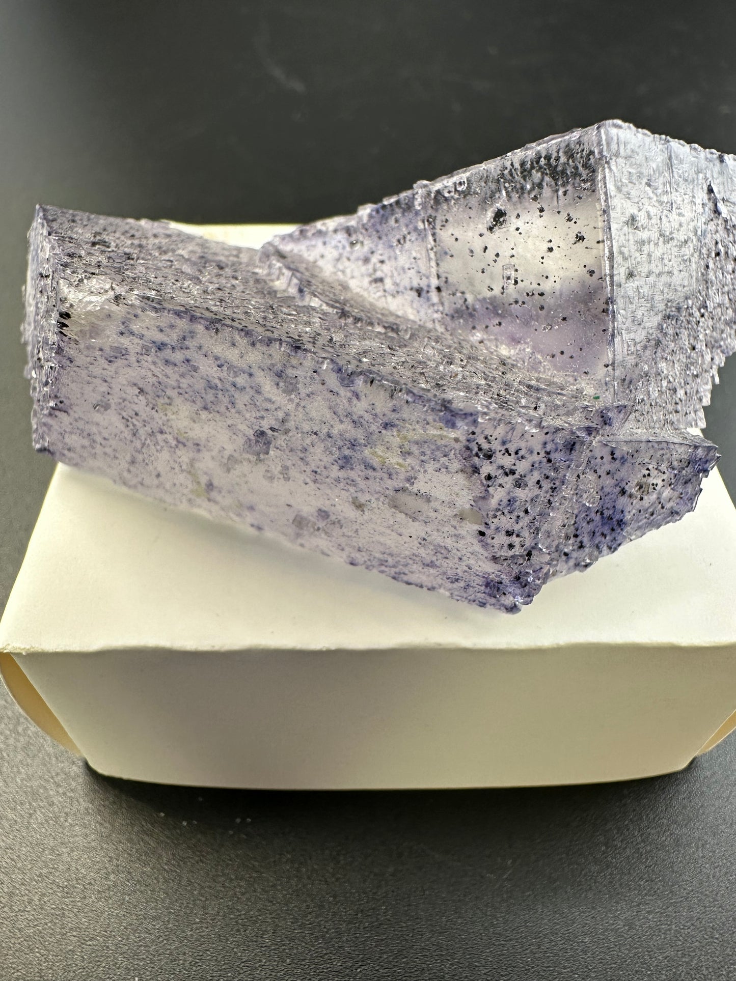 Elmwood Fluorite with spots, semi floater