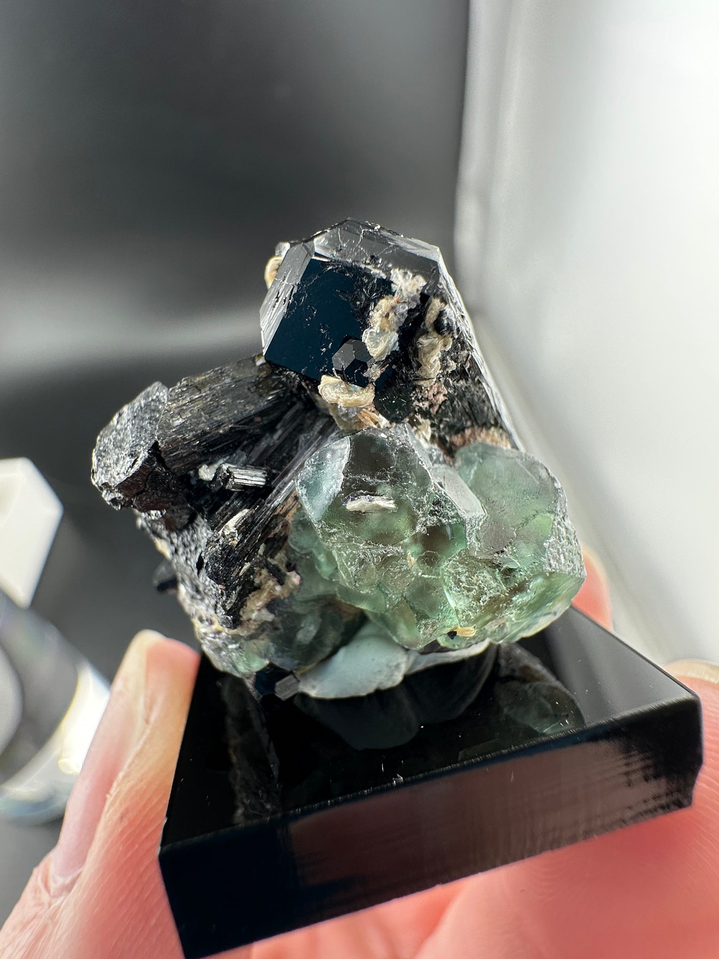 Lollipop Pocket, Erongo Mtns Namibia: Fluorite & Schorl
