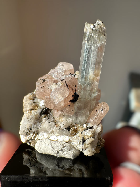 Aquamarine, Apatite, Schorl- Pakistan