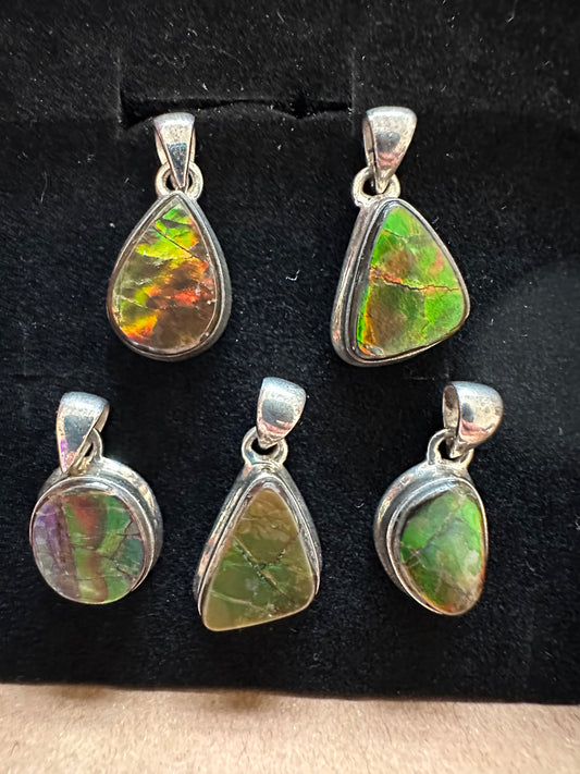 Rainbow Ammolite Fossil pendant- Choose