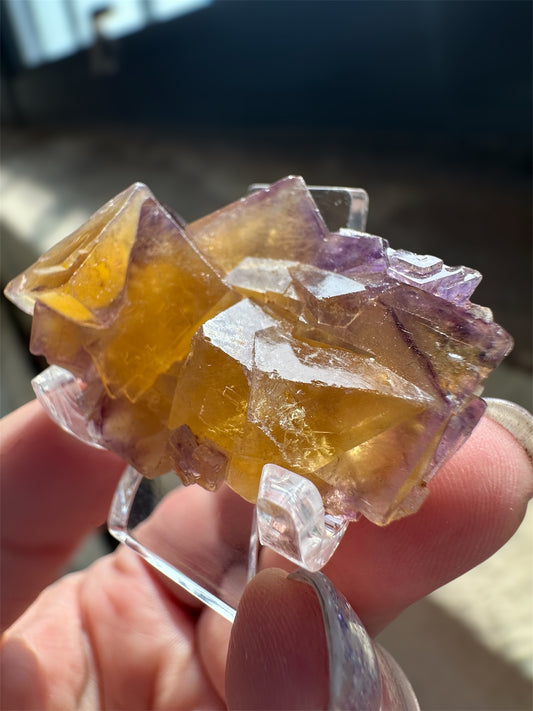 Okorusu yellow & purple fluorite mini