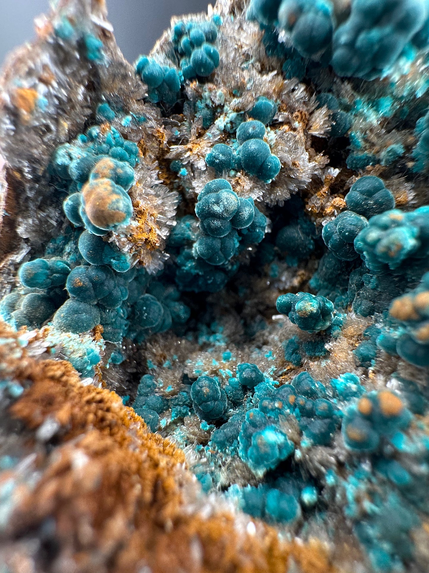 Rosasite, Durango, MX (old collection)