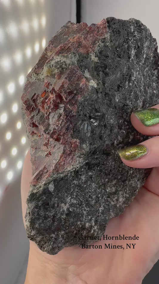 Garnet, horneblend on matrix, Barton Mines NU