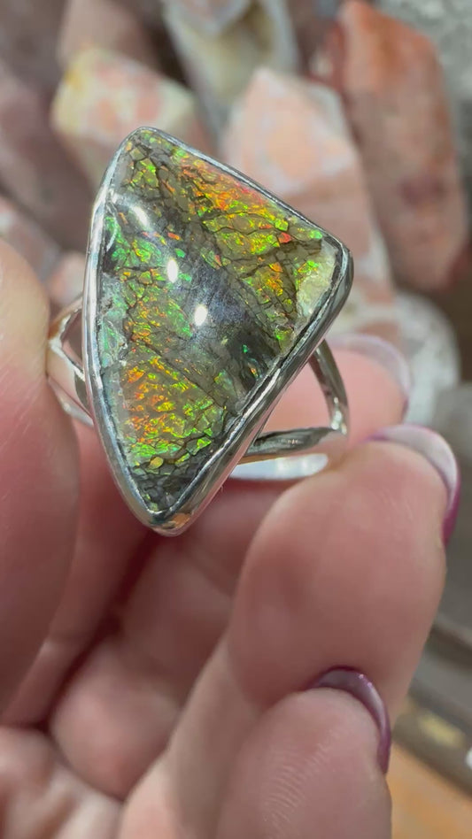 Ammolite set in Silver ring, sz 9