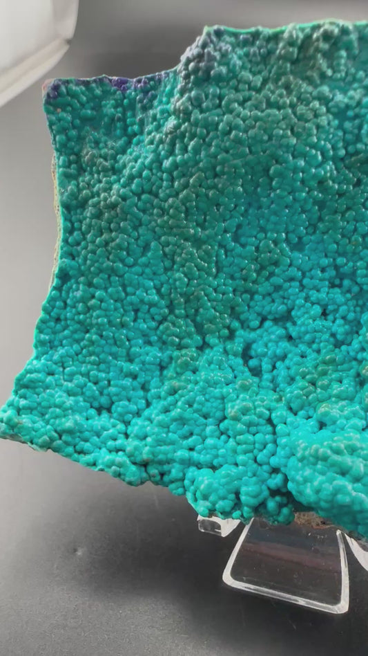 Botryoidal Chrysocolla, Congo