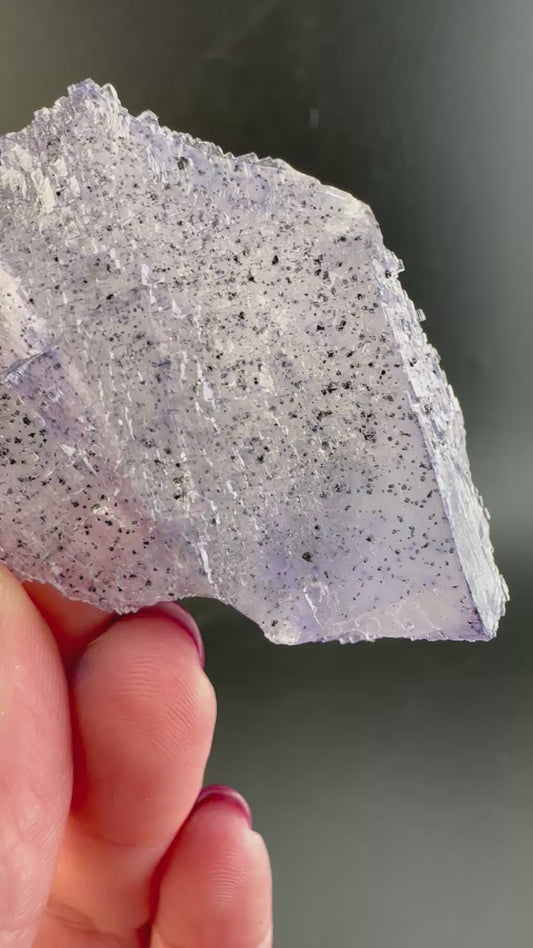 Elmwood Fluorite with spots, semi floater