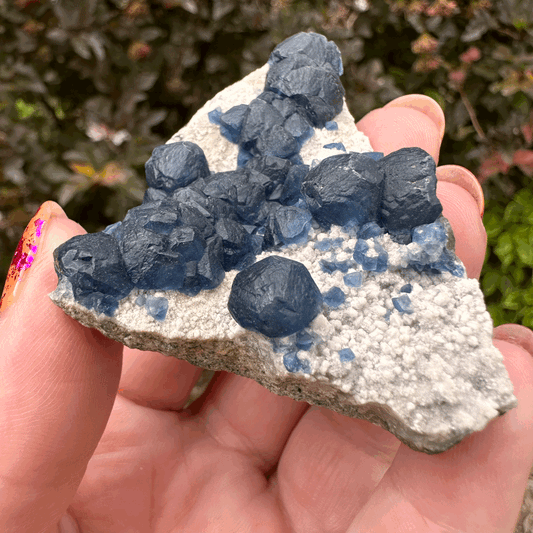 Botryoidal (Blueberry) Fluorite "Slice of Pie"